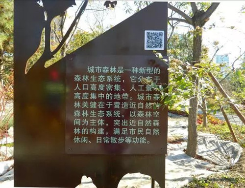 北京园林院赵晓璐：“城市森林”概念初探